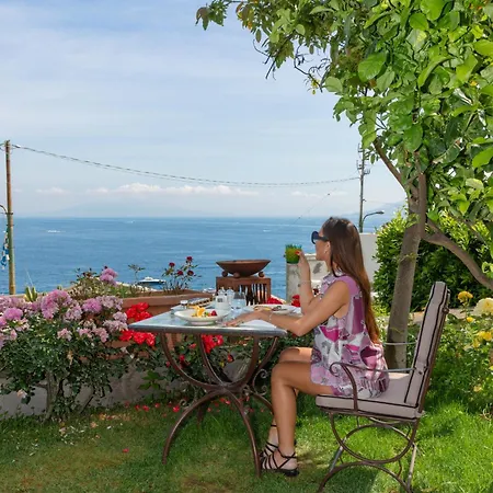 مارينا هوتل آند سبا فندق 5*